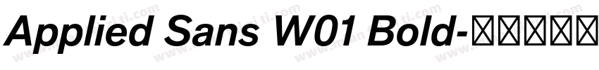 Applied Sans W01 Bold字体转换